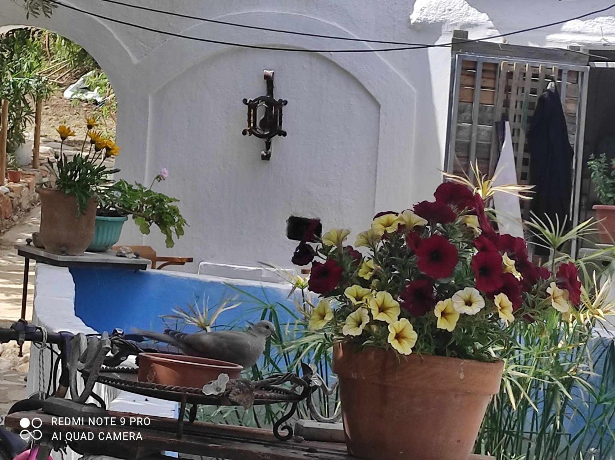 Gabriellas Garden Palaiokastro  Exterior foto
